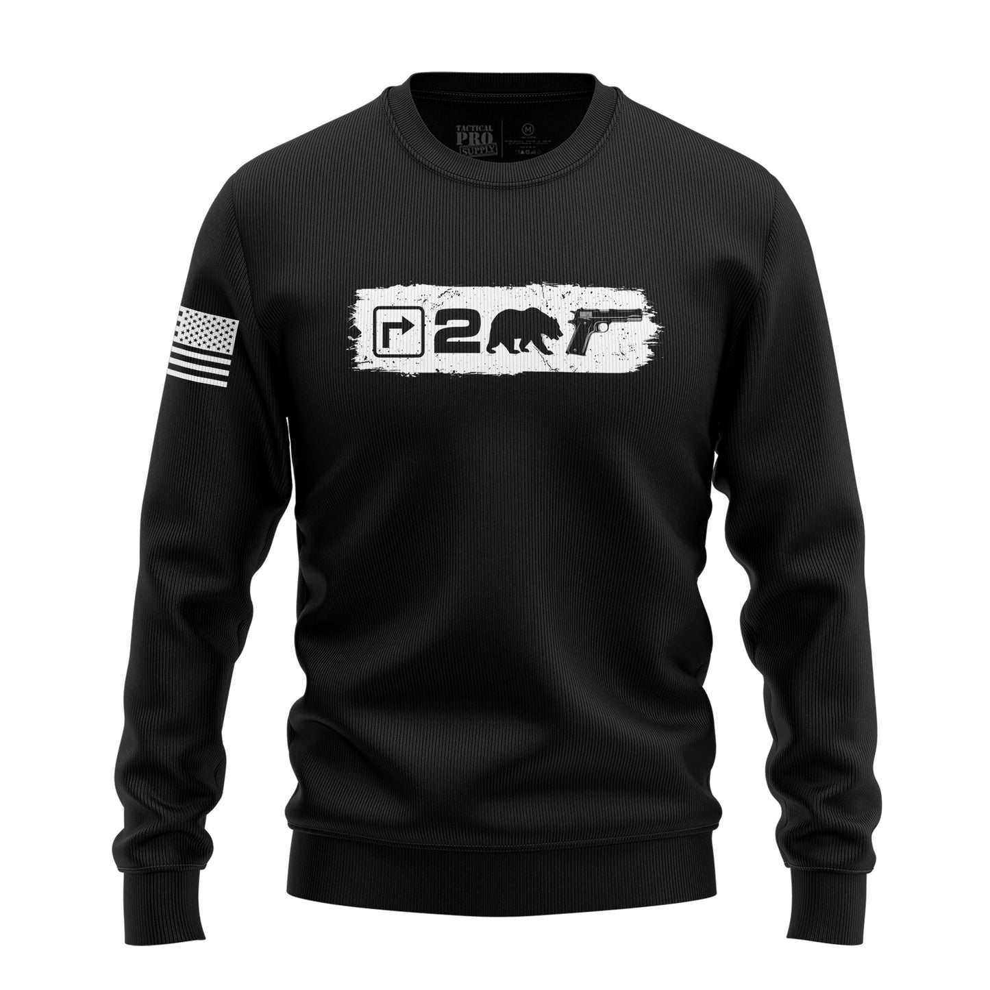 Right to Bear Arms v2