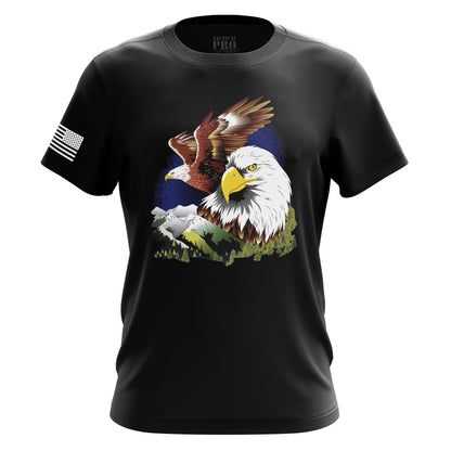 Soaring Eagle