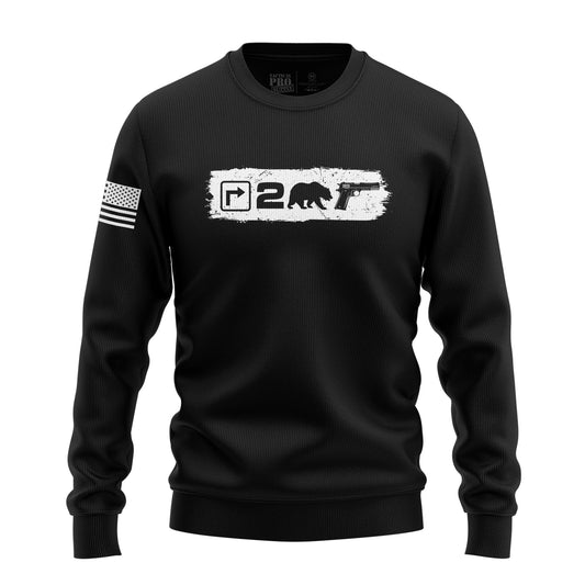 Right to Bear Arms v2